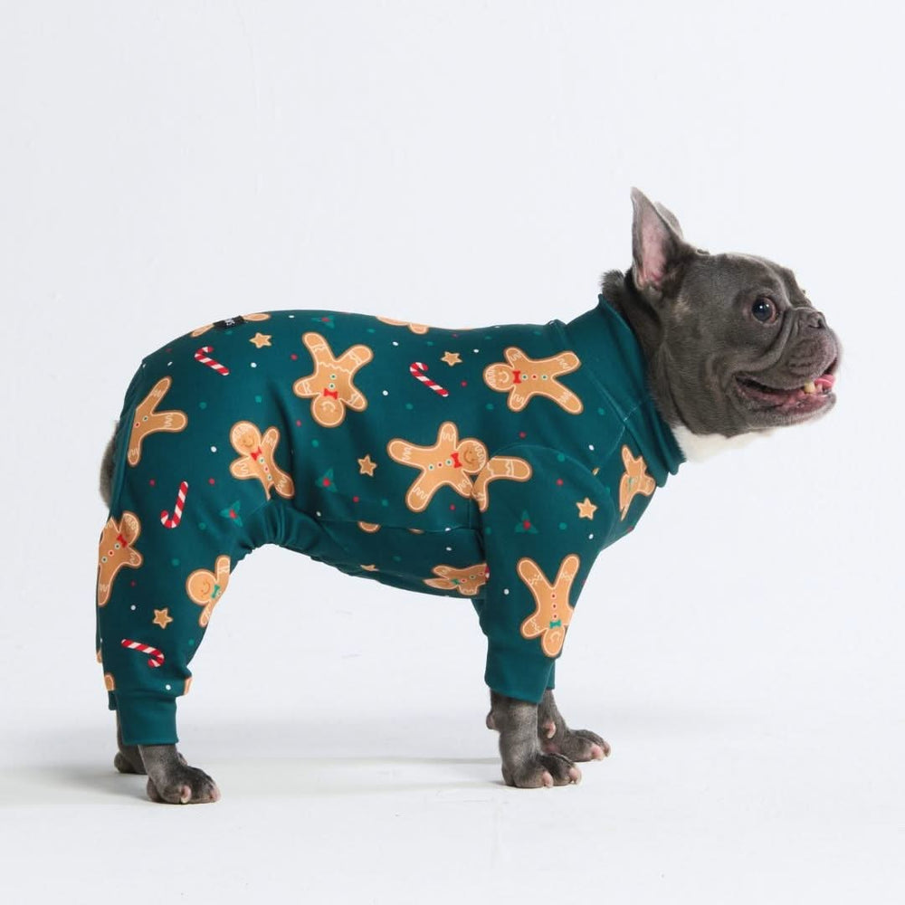 Pj for fashion dogs and owners