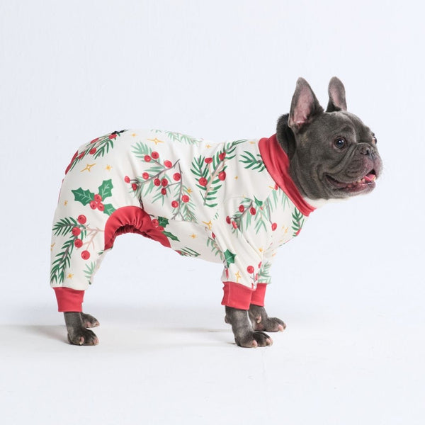 Dog Christmas Pajama - Mistletoe