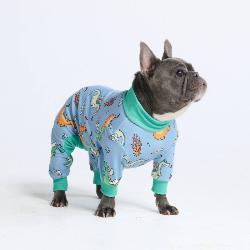 Dog Pajama - Dragons