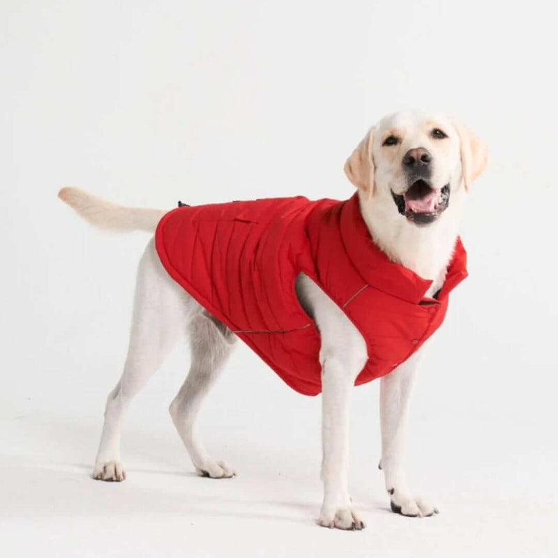 Red Warmshield Jacket