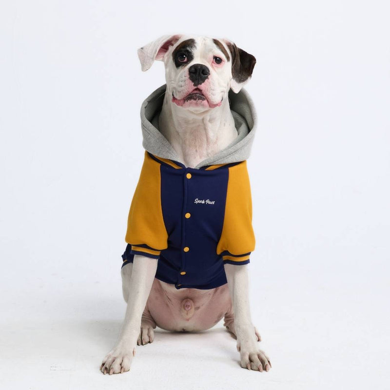 Blue Yellow Varsity Jacket