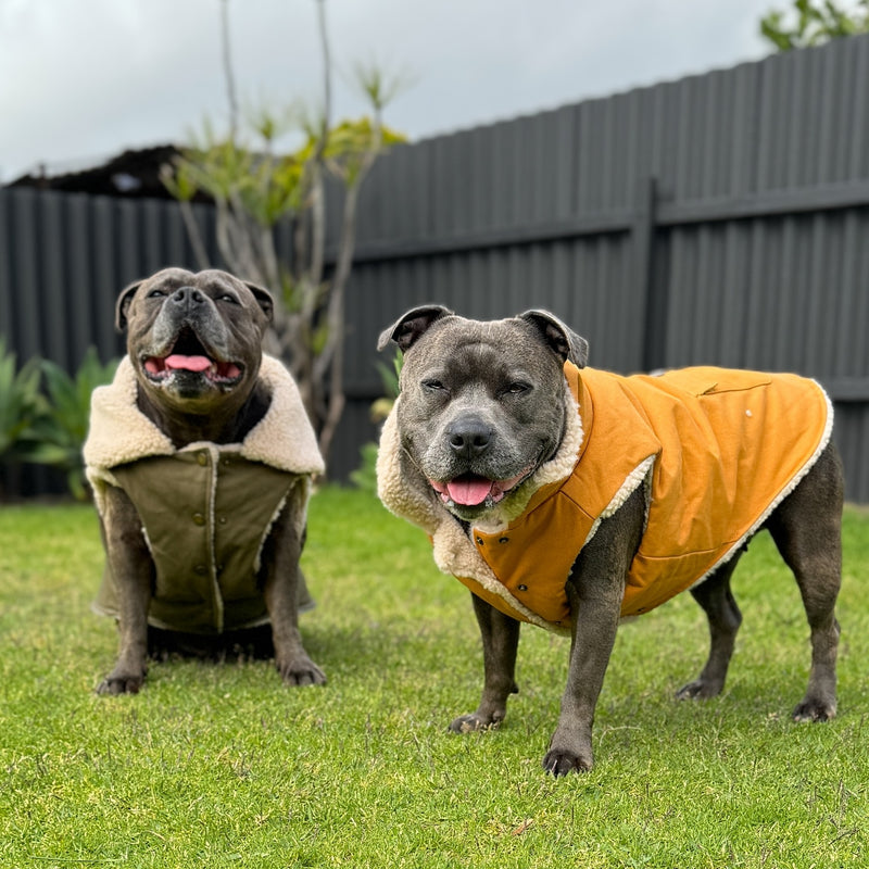 Yellow All-Terrain Vest