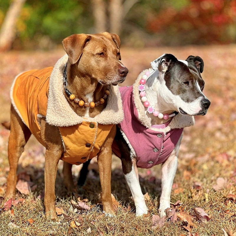 Workdog Insulated Utility Jacket - Brown