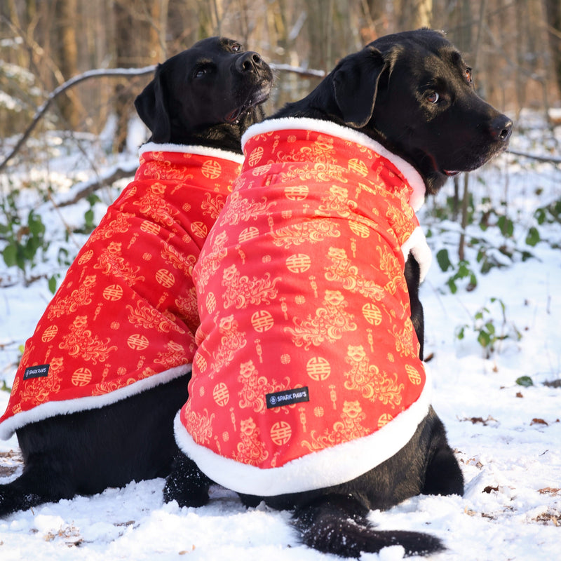 Lunar New Years Vest - Year of the Snake