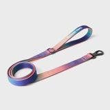 Leash and Poop Bag Holder Set - Kaleidoscope