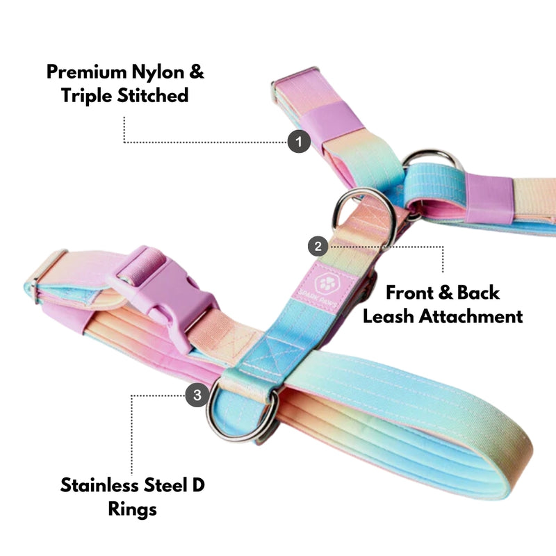 Comfort Control No-Pull Dog Harness Set - Pastel Icing