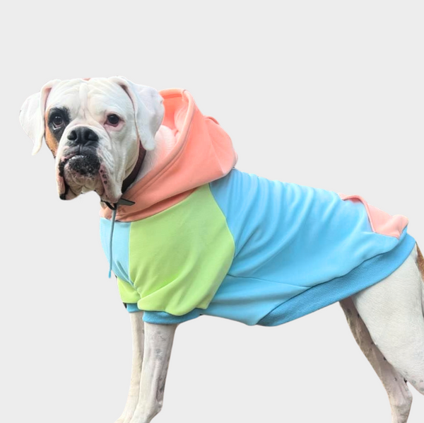 Jelly Bean Dog Hoodie