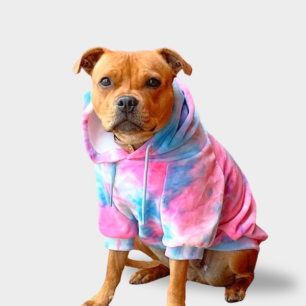 Velvet Dog Hoodie - Snow Cone