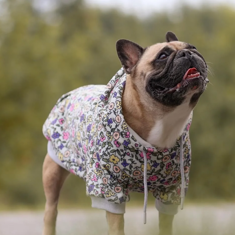 Vintage Flower Dog Hoodie - Light Grey