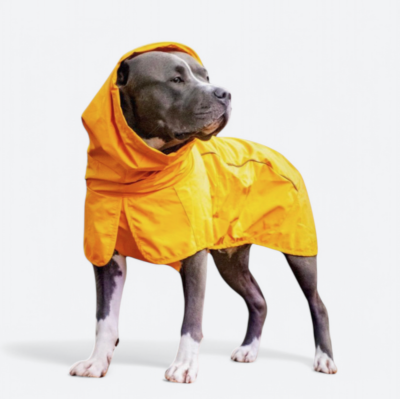 Dog Raincoat - Yellow
