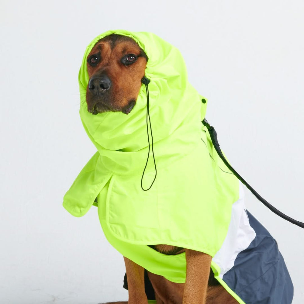 Dog Raincoat Jacket SPARK PAWS