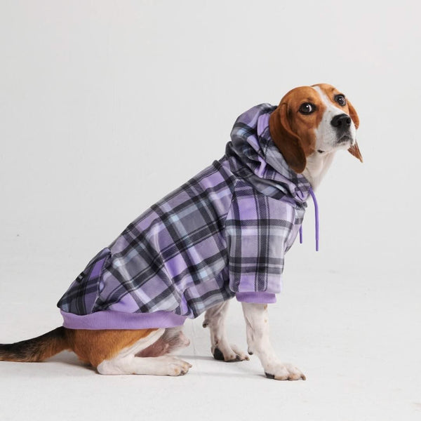 Purple Plaid Dog Hoodie