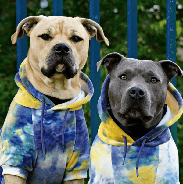 Velvet Dog Hoodie - Nova